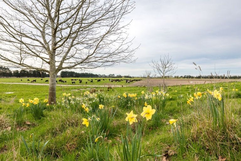 Photo of property in 229 Waihao Back Road, Waimate, 7979