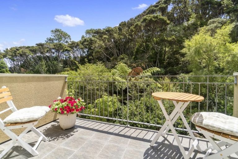 Photo of property in 45 Chester Avenue, Greenhithe, Auckland, 0632