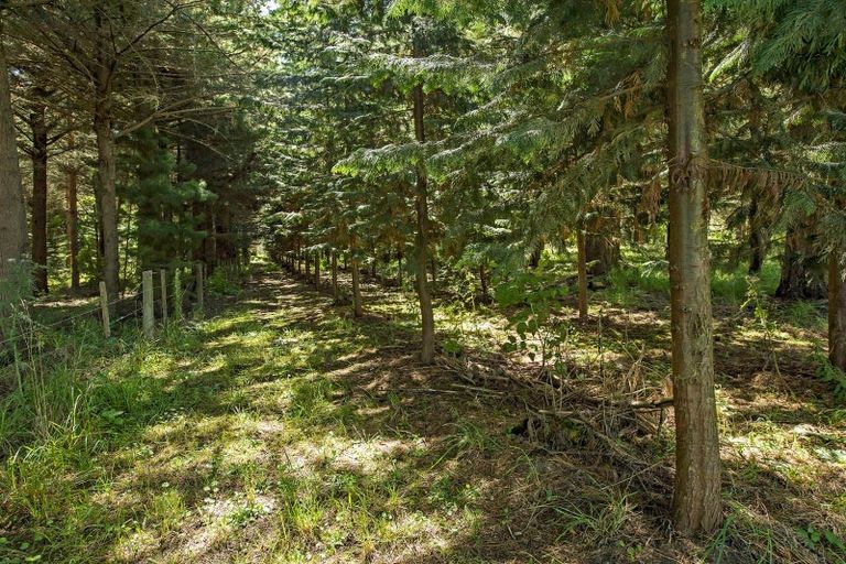 Photo of property in 337 Foothills Road, Okuku, Rangiora, 7473