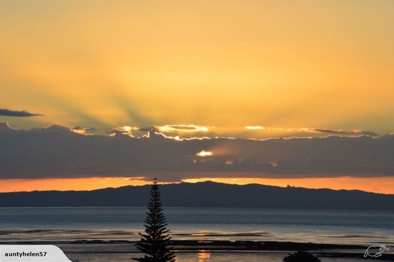 Photo of property in 103 Campbell Street, Thames, 3500