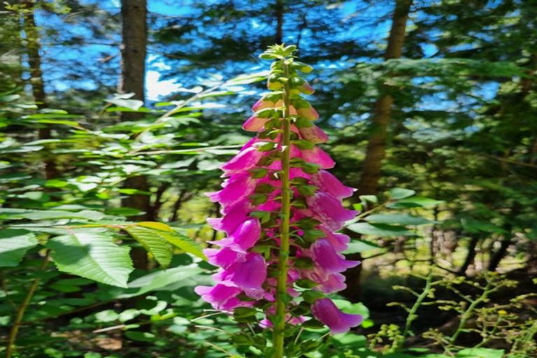 Photo of property in 17 Torquay Terrace, Hanmer Springs, 7334