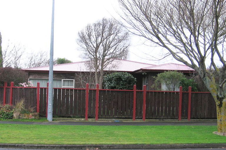 Photo of property in 73 Churchill Avenue, Hokowhitu, Palmerston North, 4410
