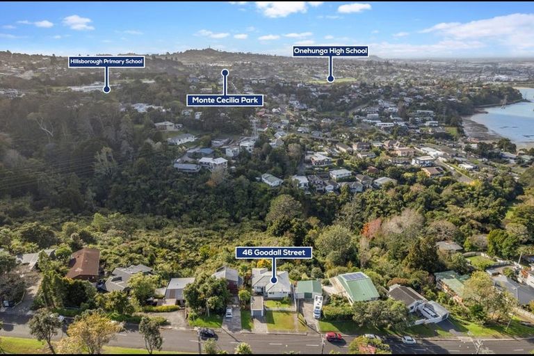 Photo of property in 46 Goodall Street, Hillsborough, Auckland, 1042