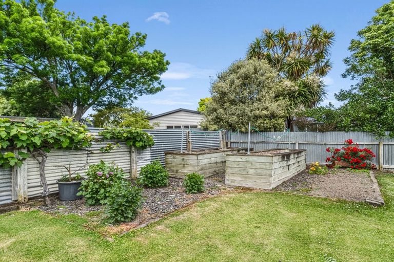 Photo of property in 22 Snowdon Avenue, Terrace End, Palmerston North, 4410