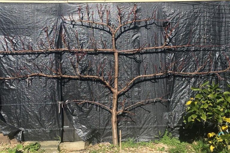 Photo of property in 41 Larsen Crescent, Tawa, Wellington, 5028