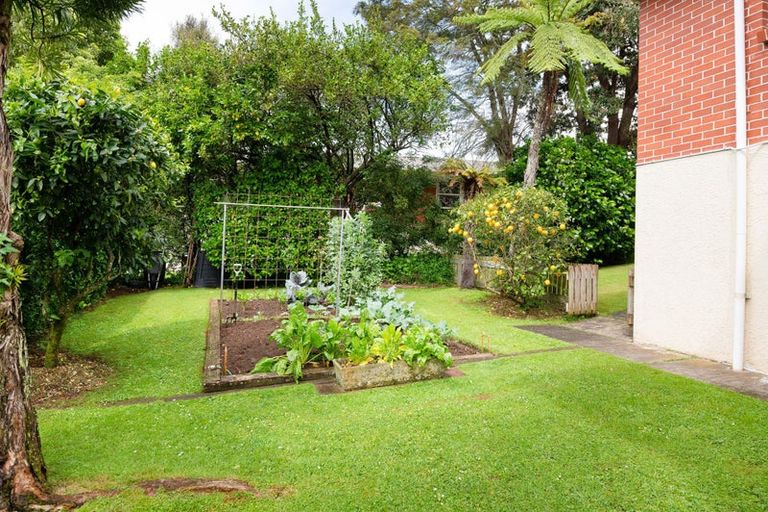 Photo of property in 396 Ulster Street, Beerescourt, Hamilton, 3200