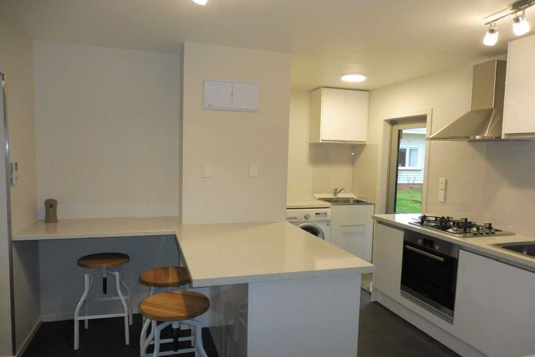 Photo of property in 103 Nixon Street, Hamilton East, Hamilton, 3216