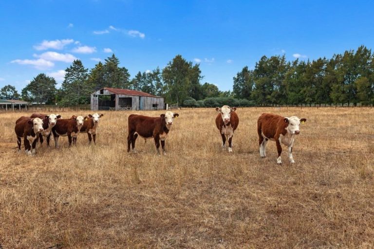 Photo of property in 323b Hallett Road, Otakiri, Whakatane, 3192