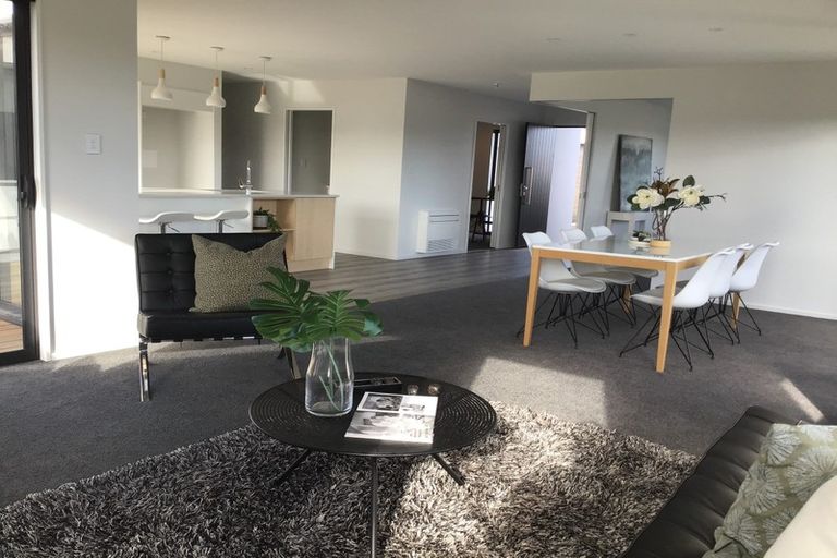 Photo of property in 28 Bonecrusher Street, Lincoln, 7608