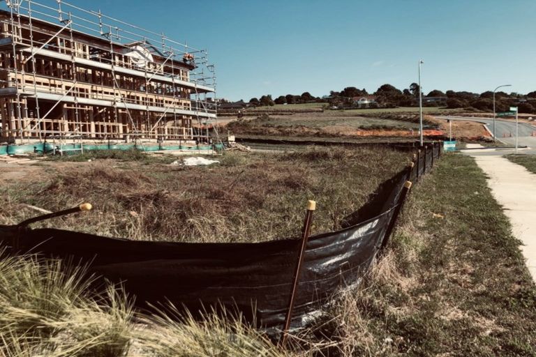 Photo of property in 24 Lime Hill Rise, Flat Bush, Auckland, 2019