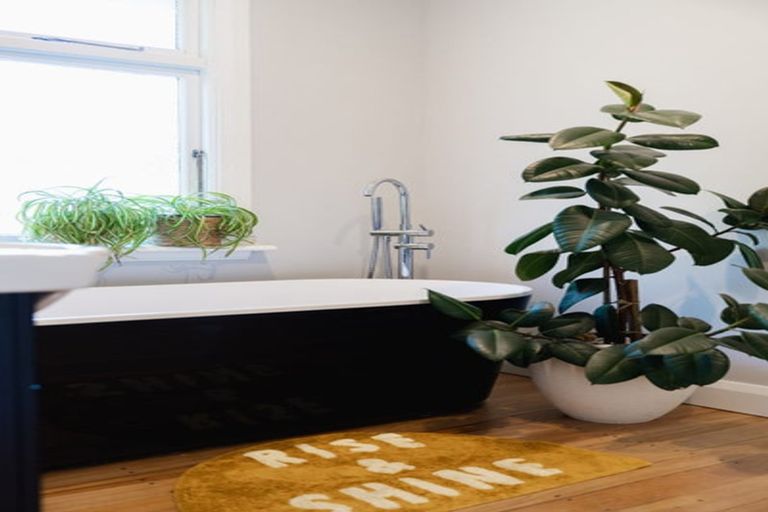 Photo of property in 43 Melrose Street, Roslyn, Dunedin, 9010