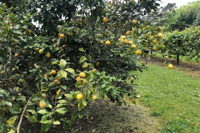 Photo of property in 86 Taha Road, Waimauku, 0881