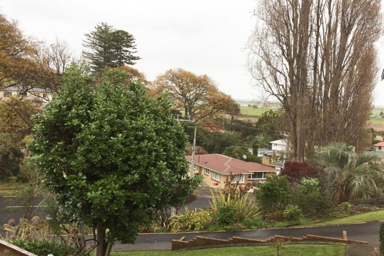 Photo of property in 115 Brunton Crescent, Thames, 3500