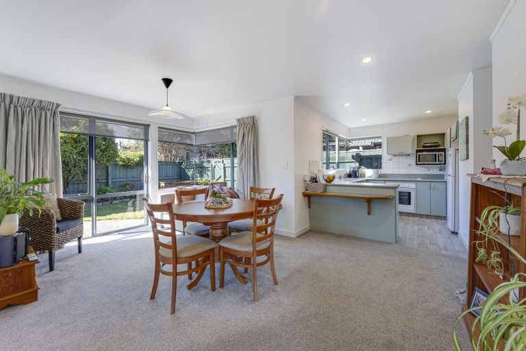 Photo of property in 60 Chelsea Avenue, Richmond, 7020