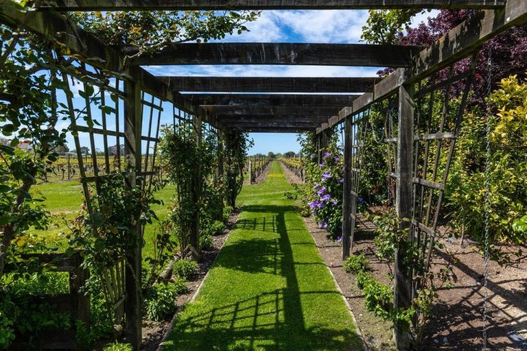 Photo of property in 56 Thomsons Ford Road, Thomsons Ford, Blenheim, 7272