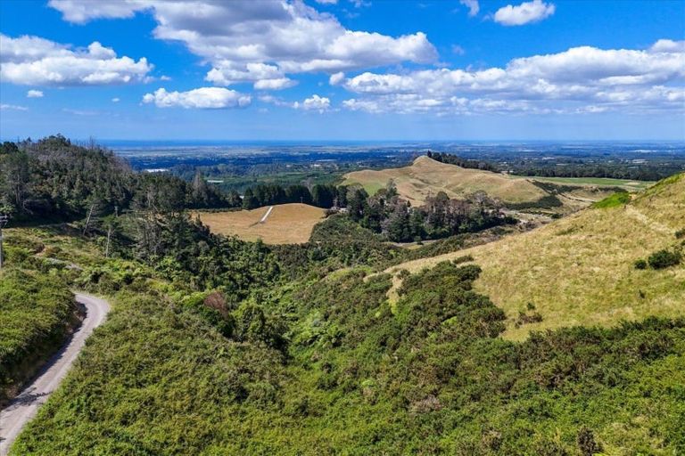 Photo of property in 176 Harray Road, Te Puke, 3183