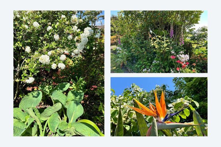 Photo of property in 641 Thornton Road, Thornton, Whakatane, 3194