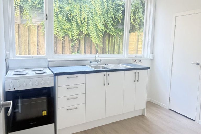 Photo of property in 63 Scannell Street, Taupo, 3330