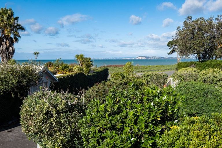 Photo of property in 85 Le Quesne Road, Bay View, Napier, 4104