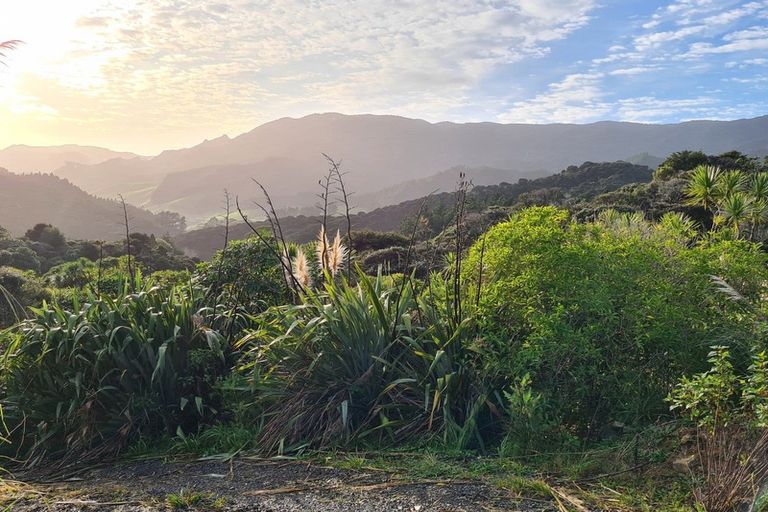 Photo of property in 1830 Colville Road, Amodeo Bay, Coromandel, 3584