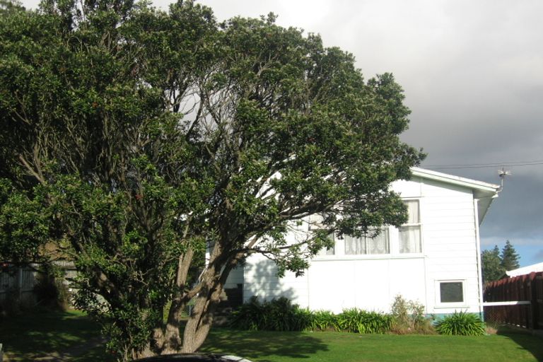 Photo of property in 58 Driver Crescent, Cannons Creek, Porirua, 5024