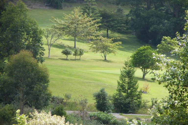 Photo of property in 40 Amokura Drive, Kerikeri, 0230