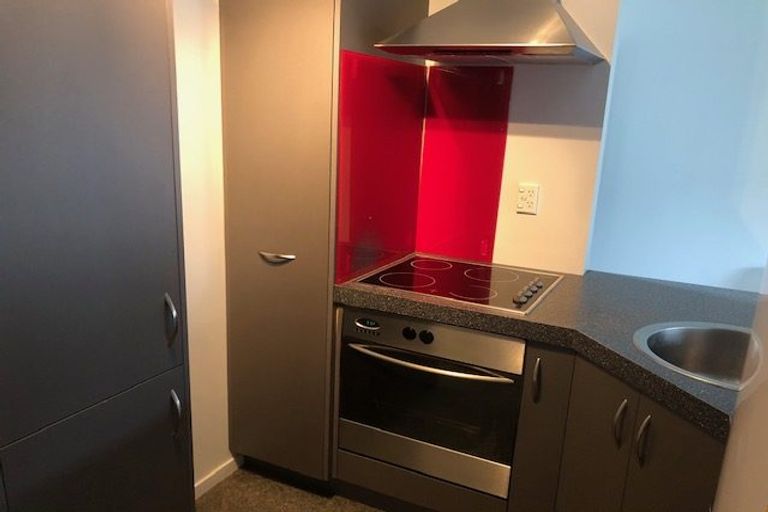 Photo of property in 50a Willoughby Street, Whitiora, Hamilton, 3200