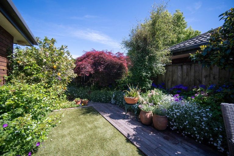 Photo of property in 2/90a Halifax Street East, The Wood, Nelson, 7010