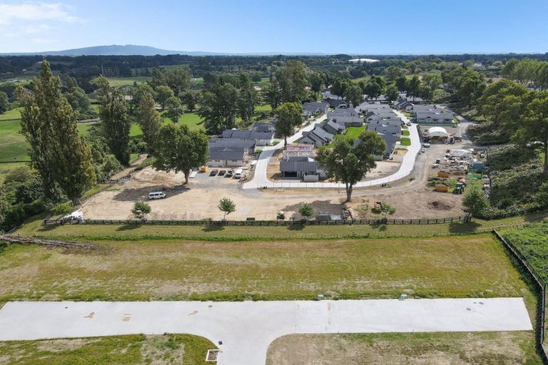 Photo of property in 11 Te Ia Terrace, Cambridge, 3434