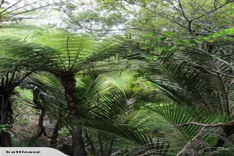 Photo of property in 304 School Road, Waimauku, 0881