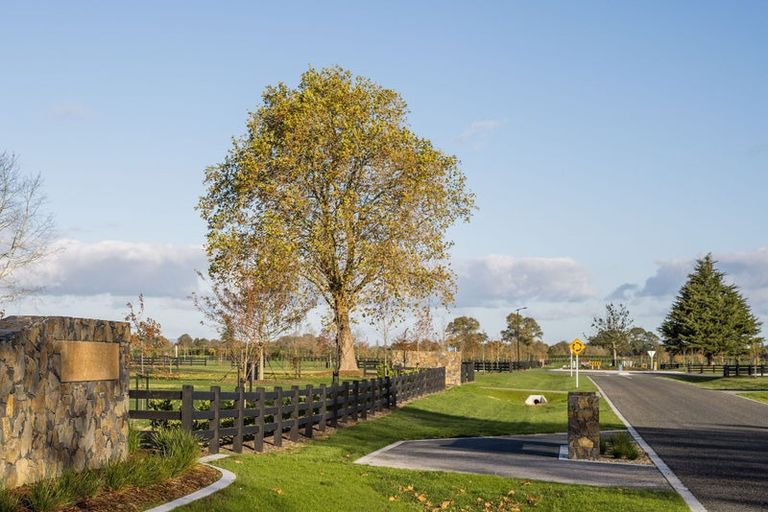 Photo of property in 7 Orchard Place, Matamata, 3472