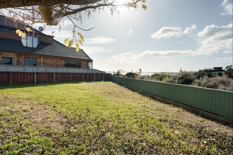 Photo of property in 17 Vine Avenue, Maungatapu, Tauranga, 3112