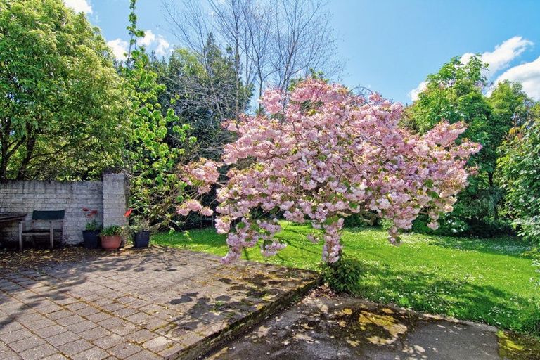 Photo of property in 114 Renall Street, Masterton, 5810