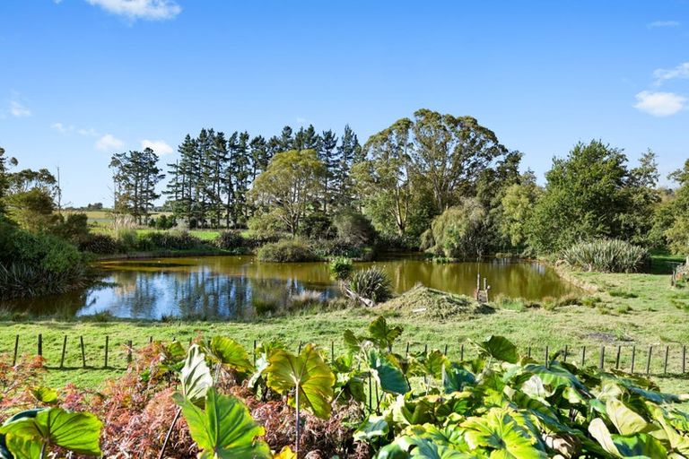 Photo of property in 205 Osborne Road, Horsham Downs, Hamilton, 3281