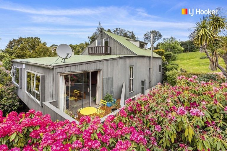 Photo of property in 44 Littlebourne Road, Roslyn, Dunedin, 9010