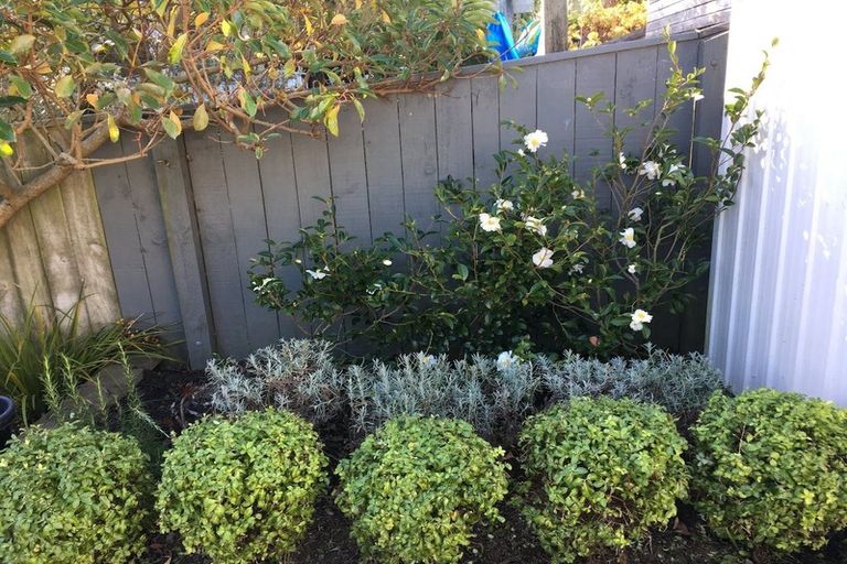 Photo of property in 9 Herald Terrace, Berhampore, Wellington, 6023