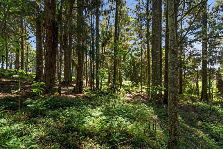 Photo of property in 59 Jounneaux Road, Te Kamo, Kamo, 0185