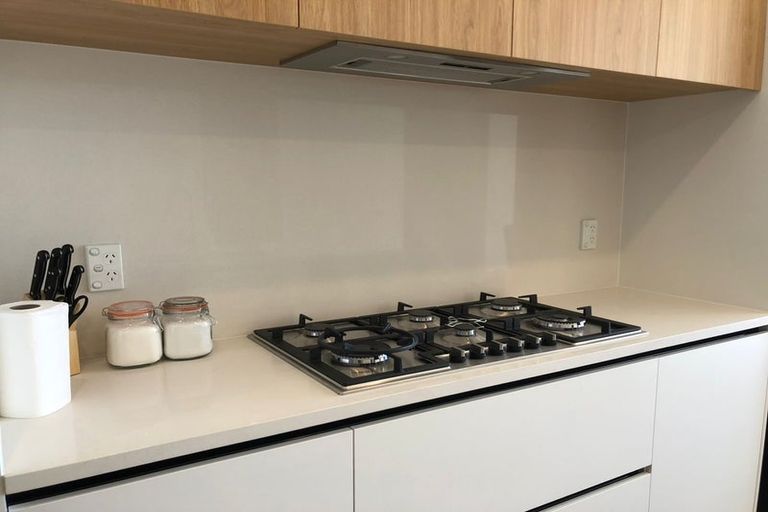 Photo of property in 8 Frontier Lane, Flat Bush, Auckland, 2019