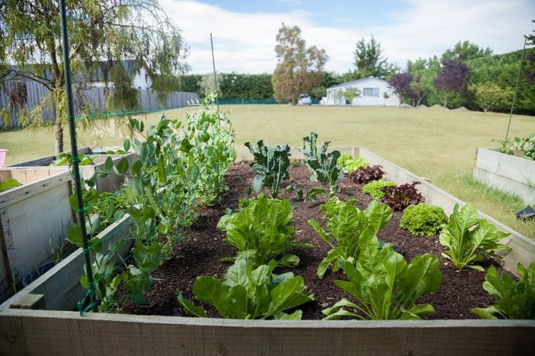 Photo of property in 159d Lowes Road, Rolleston, 7614