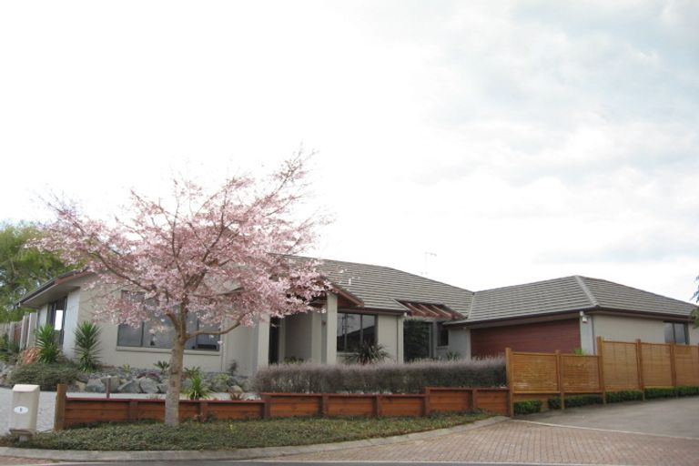 Photo of property in 8 Channing Close, Bethlehem, Tauranga, 3110