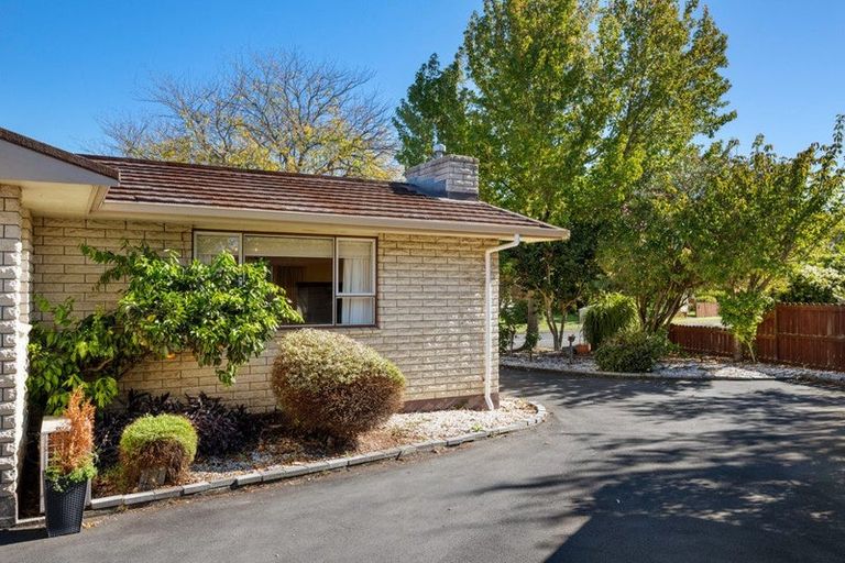 Photo of property in 45 Leefield Street, Blenheim, 7201