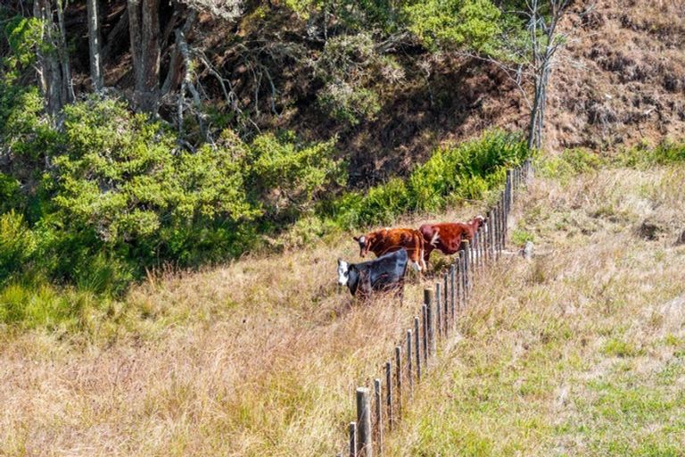 Photo of property in 11 Taylor Road, Waimauku, 0882