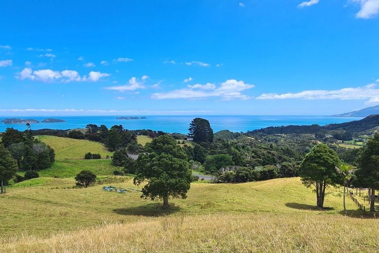Photo of property in 1702 Colville Road, Amodeo Bay, Coromandel, 3584