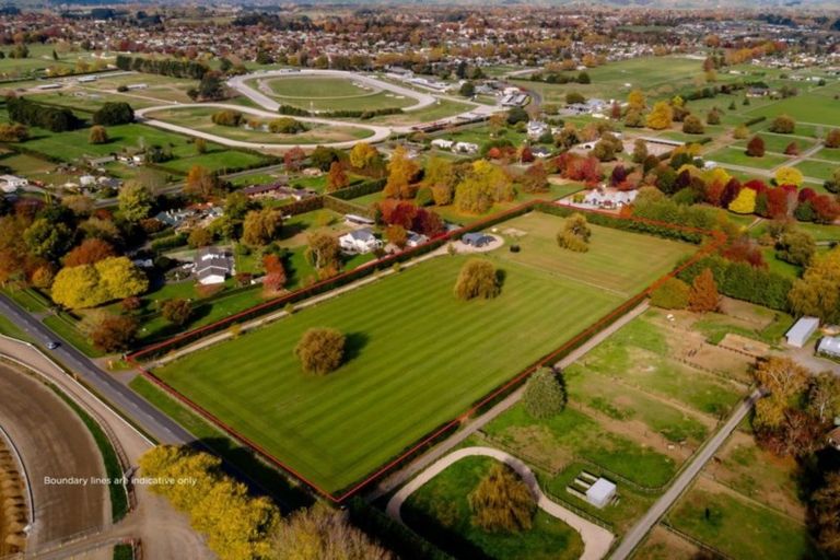 Photo of property in 25 Racecourse Road, Cambridge, 3493