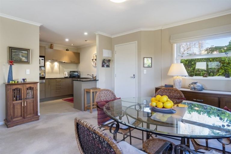 Photo of property in 1/29 Accadia Lane, Tauranga, 3110