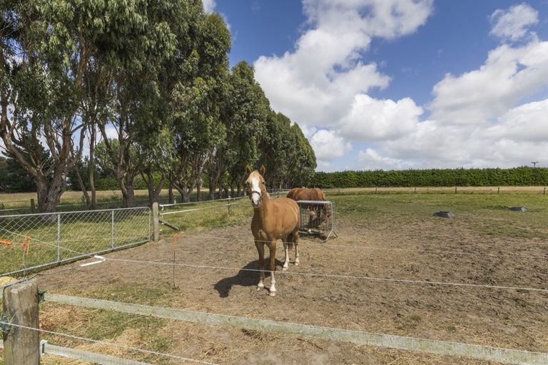 Photo of property in 237 Ngaio Road, Halcombe, Palmerston North, 4479