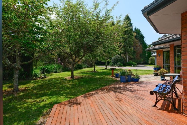 Photo of property in 1156 Braemar Road, Rotoma, Whakatane, 3192