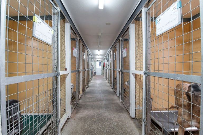 Photo of property in 286 Totara Road, Ngakuru, Rotorua, 3077