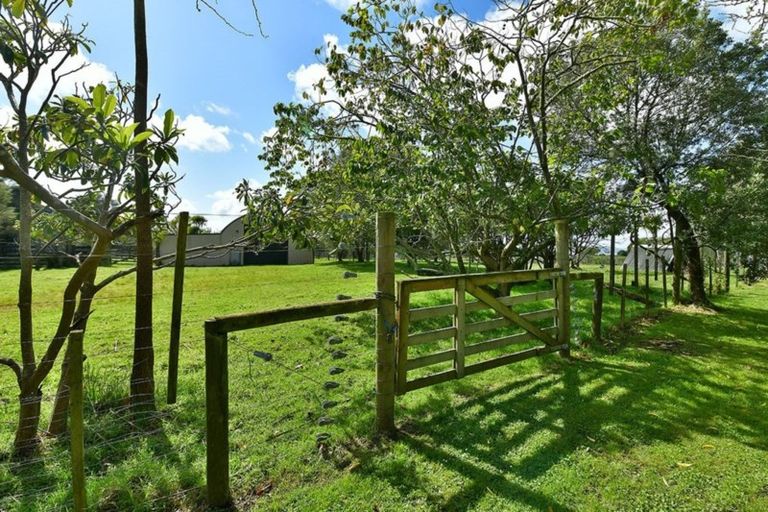 Photo of property in 115 Shelly Beach Road, Shelly Beach, Helensville, 0874