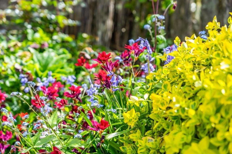 Photo of property in 16a Sheridan Crescent, Trentham, Upper Hutt, 5018